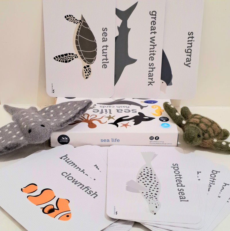 Sea Life Flash Cards by Two Little Ducklings 3yrs+
