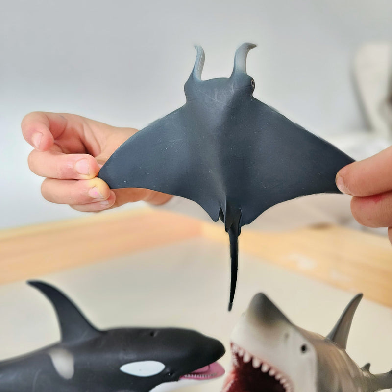 Sea Life Figurine Collection 5pc Gift Set by CollectA Animal Figurines3yrs+