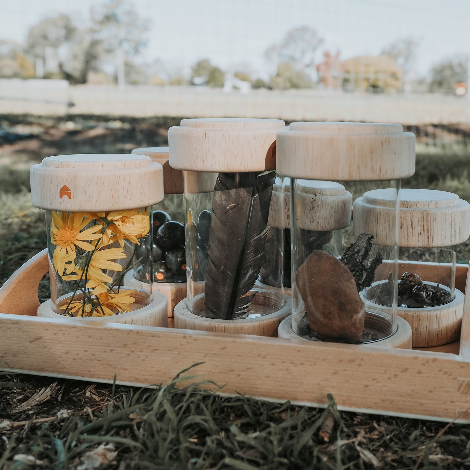 We solve the challenges behind great learning environments.