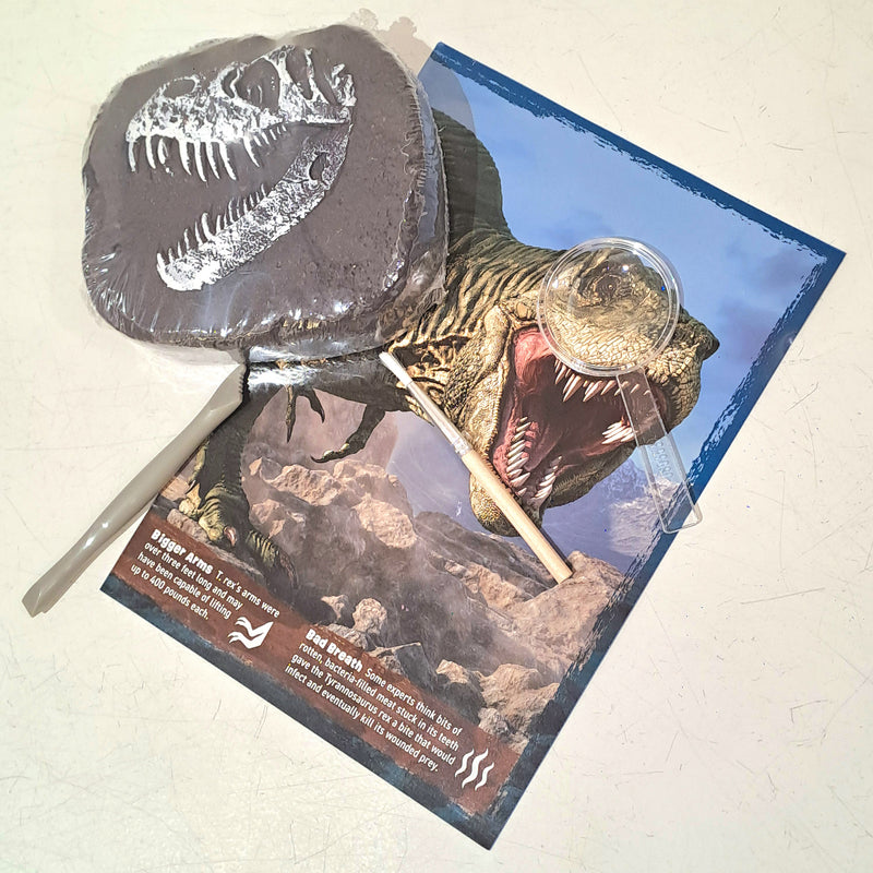 National Geographic Dinosaur Fossil Dig Kit Early Science STEM Toys Dinosaur and Dragon Theme 8yrs+