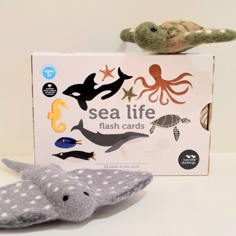 Sea Life Flash Cards by Two Little Ducklings 3yrs+