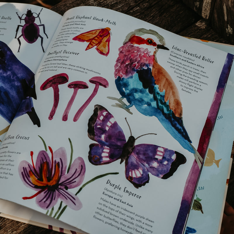 World of Colour (Hardcover) by Jess Racklyeft Children’s Nature & Animals Picture Book