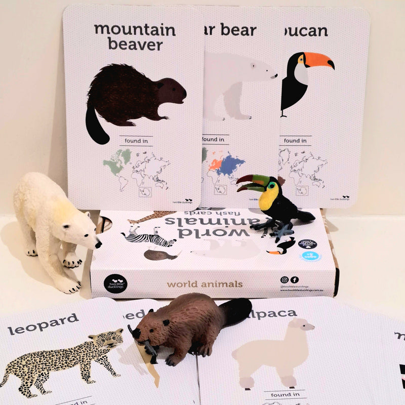 World Animals Flash Cards by Two Little Ducklings 4yrs+