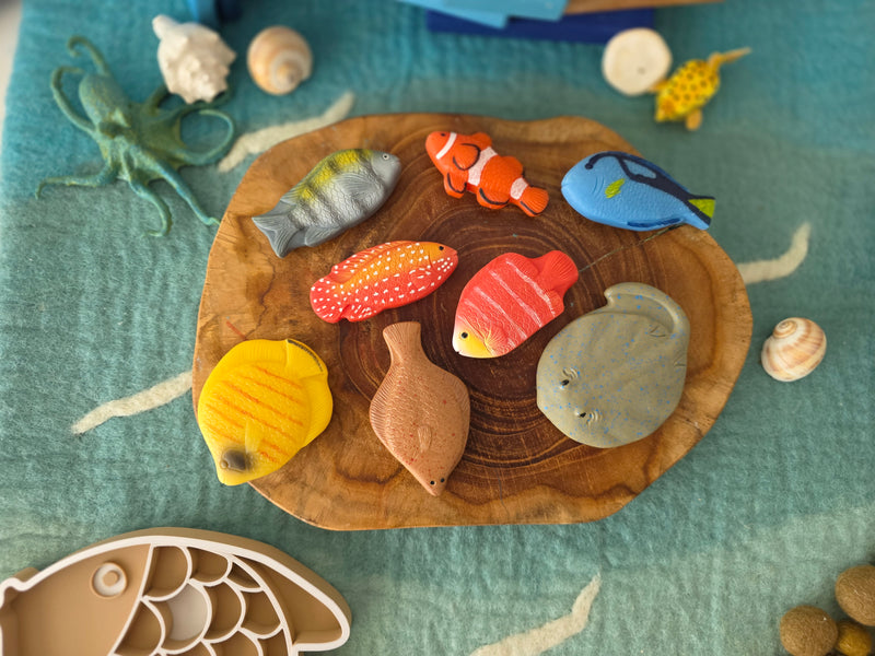 Yellow Door Sensory Play Stones Fish 8pcs Playdough Sand Toys Sensory Toys Toddler Developmental Toys 2yrs+