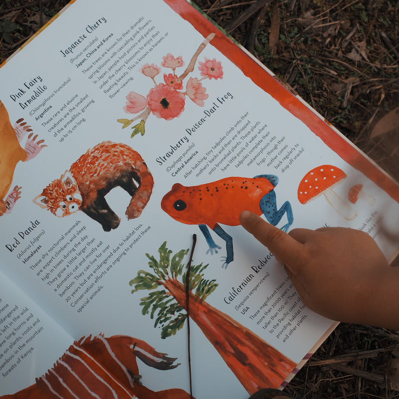 World of Colour (Hardcover) by Jess Racklyeft Children’s Nature & Animals Picture Book