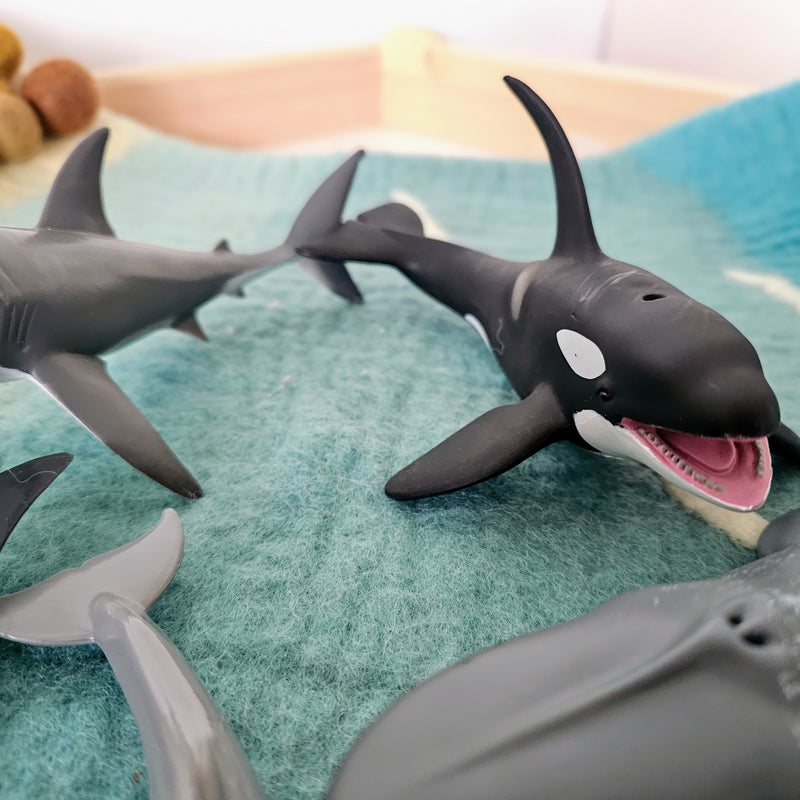 Sea Life Figurine Collection 5pc Gift Set by CollectA Animal Figurines3yrs+