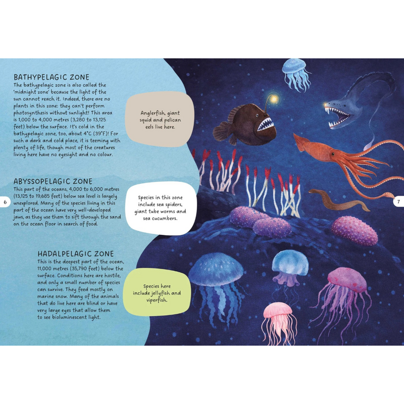 Glow in the Dark Day and Night Sea 100pc Puzzle and Book Set by Sassi Ocean Theme Gift Idea for 5yrs+