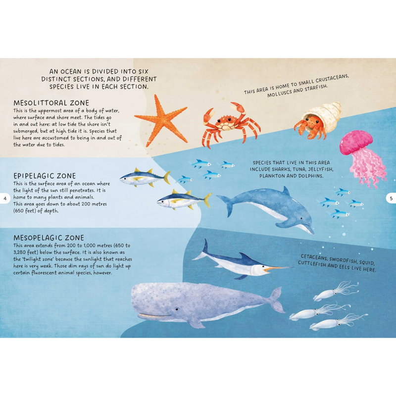 Glow in the Dark Day and Night Sea 100pc Puzzle and Book Set by Sassi Ocean Theme Gift Idea for 5yrs+