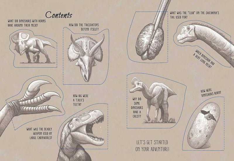 Lift the Flap: The World Of Dinosaurs (Hardcover) Kids Book