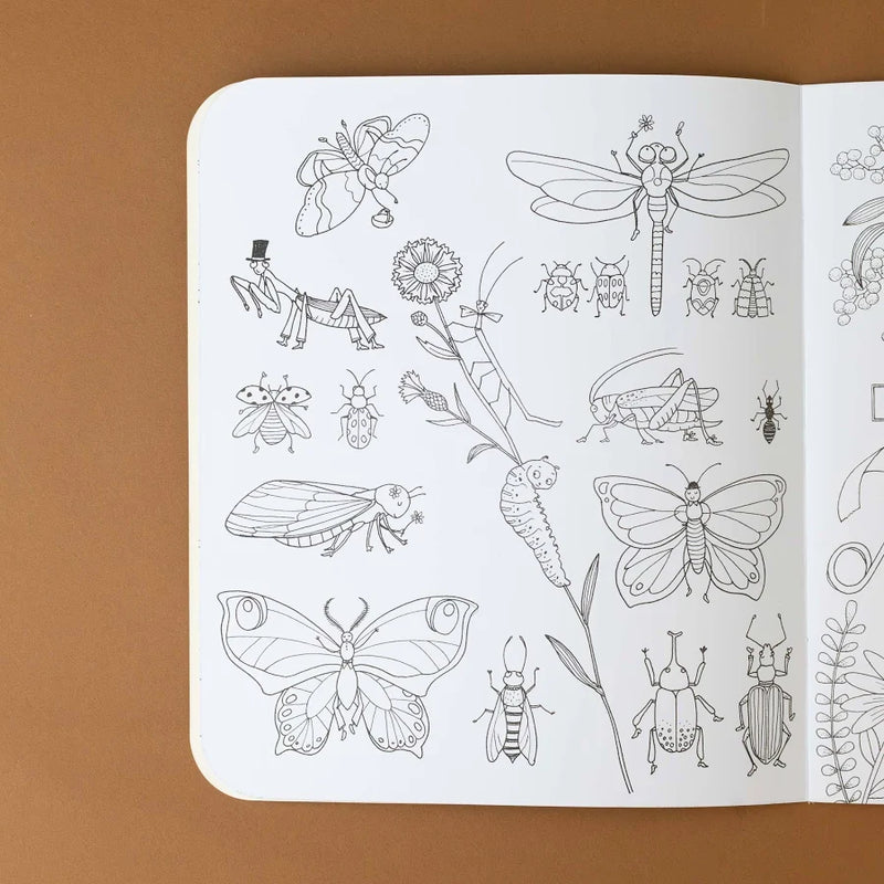 Botanist Colouring Activity Book with 148 Stickers (Paperback) by Moulin Roty Travel Toys