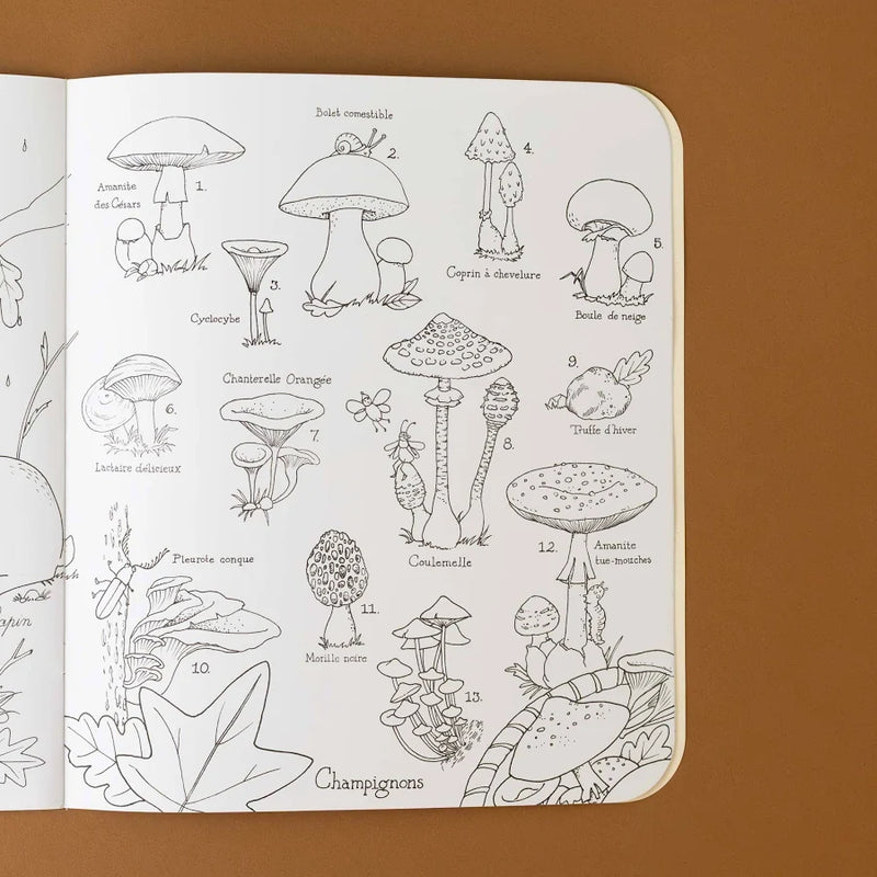Botanist Colouring Activity Book with 148 Stickers (Paperback) by Moulin Roty Travel Toys