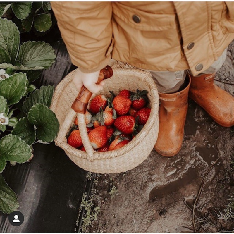 Small Round Bolga Basket with Leather Handle - Natural 22-26cm