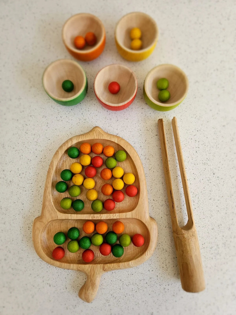 Qtoys Acorn Natural Activity Tray Sensory Toys Clearance 3yrs+