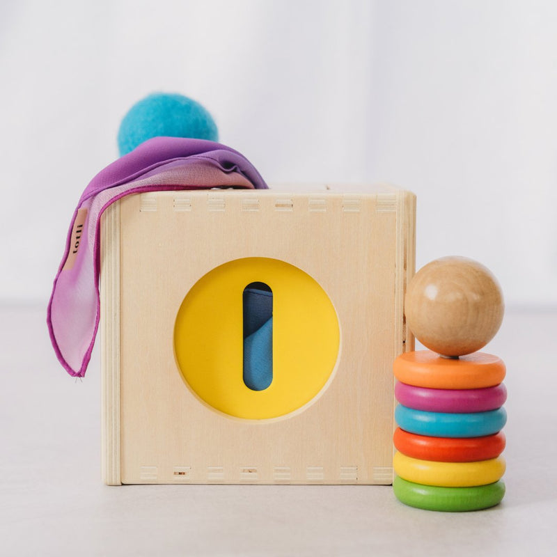 The Totli Box Multiple Sensory All in One Baby Sensory Cognitive Developmental Toys for Baby and Toddlers Best Seller Most Loved in Store 12m+