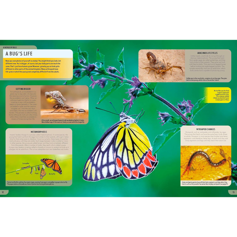 Lonely Planet Kids The Bugs Book (Hardcover): Meet Over 100 Incredible Creepy-Crawlies That Share Our Planet Kids Book