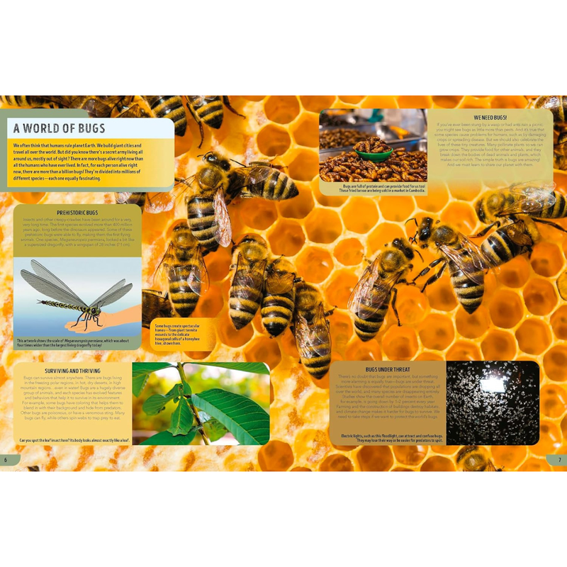 Lonely Planet Kids The Bugs Book (Hardcover): Meet Over 100 Incredible Creepy-Crawlies That Share Our Planet Kids Book