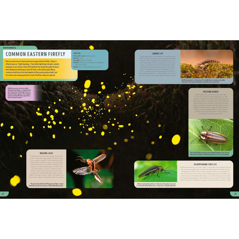 Lonely Planet Kids The Bugs Book (Hardcover): Meet Over 100 Incredible Creepy-Crawlies That Share Our Planet Kids Book