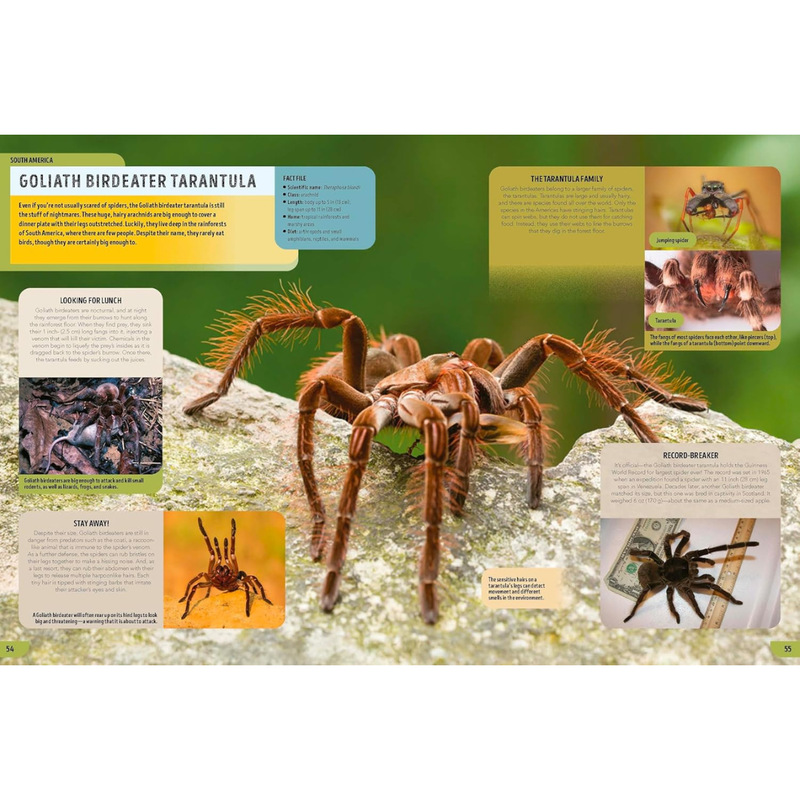 Lonely Planet Kids The Bugs Book (Hardcover): Meet Over 100 Incredible Creepy-Crawlies That Share Our Planet Kids Book