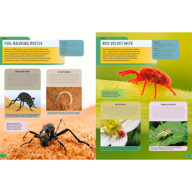 Lonely Planet Kids The Bugs Book (Hardcover): Meet Over 100 Incredible Creepy-Crawlies That Share Our Planet Kids Book
