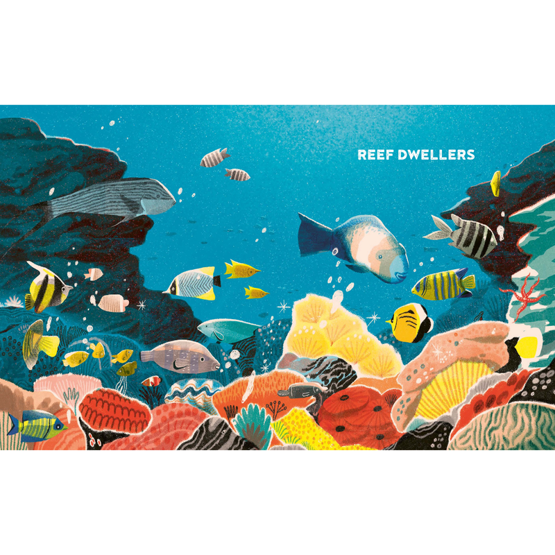 The Great Barrier Reef (Hardcover) by Helen Scales Kids Ocean Book