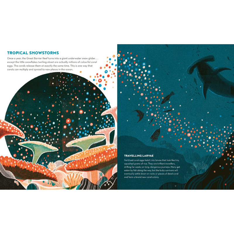 The Great Barrier Reef (Hardcover) by Helen Scales Kids Ocean Book