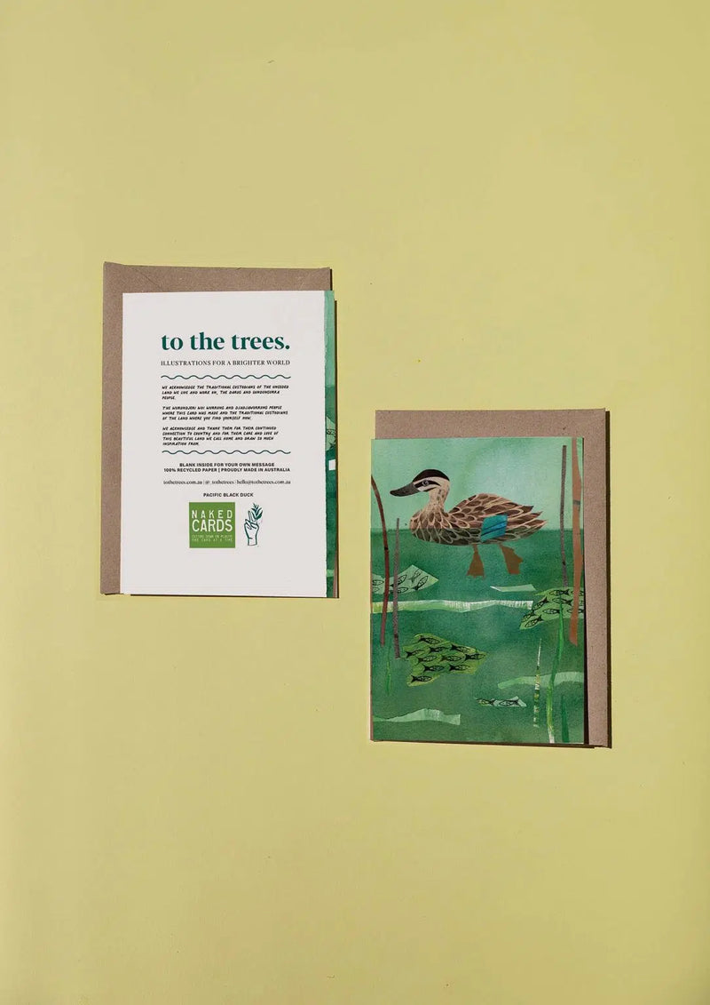 Pacific Black Duck Greeting Card By To The Trees