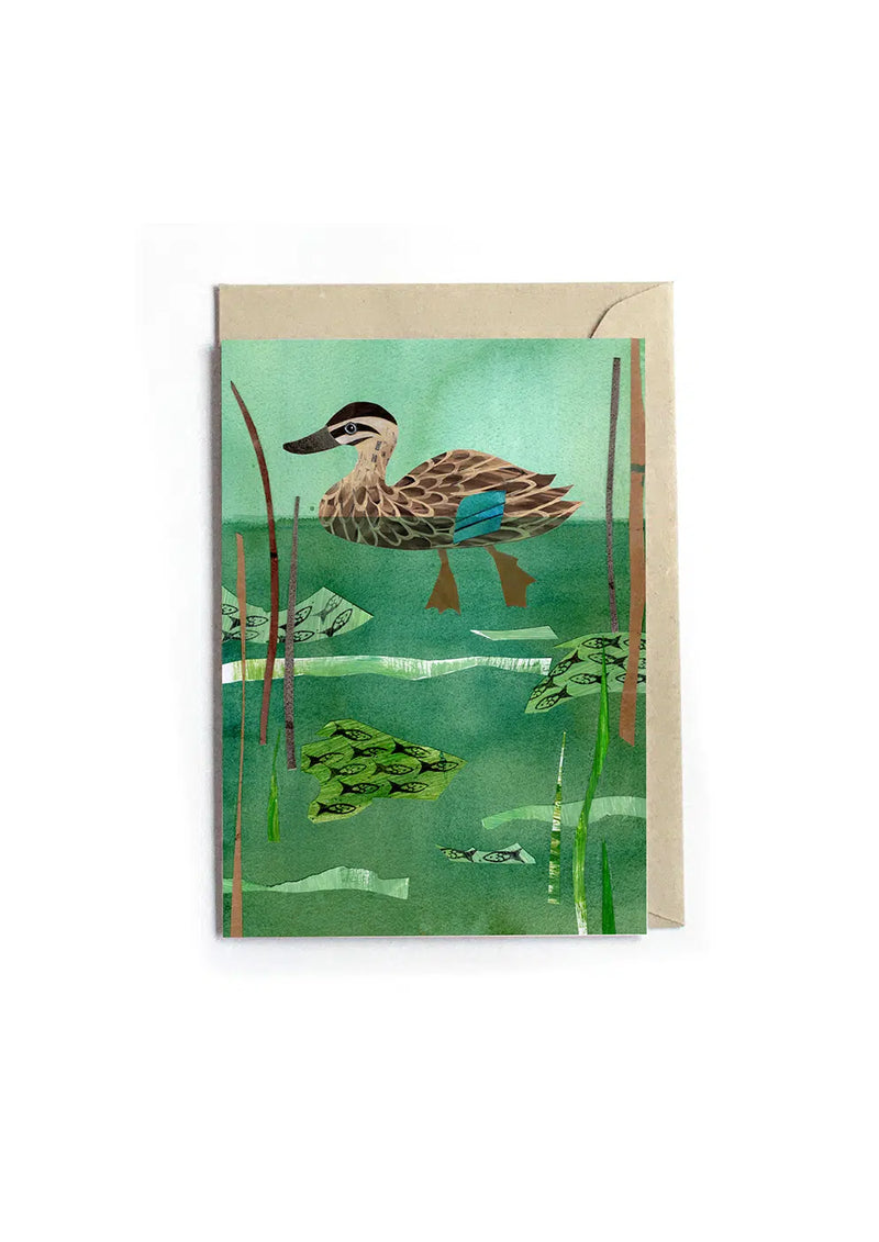 Pacific Black Duck Greeting Card By To The Trees