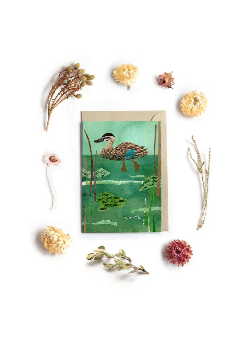 Pacific Black Duck Greeting Card By To The Trees