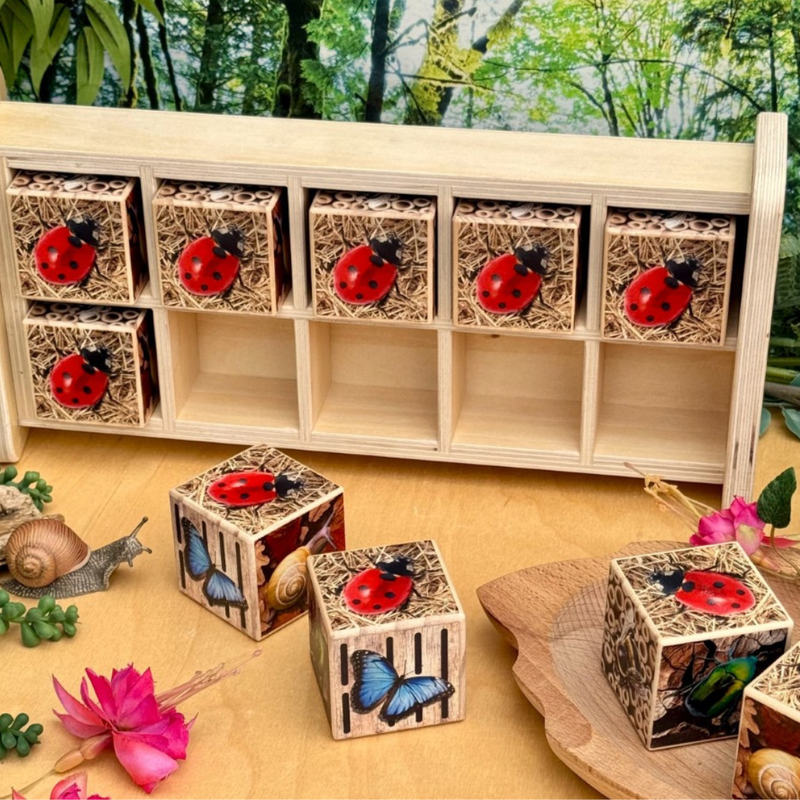 Yellow Door Wooden Bug Hotel 10-Frame Counting Set 11pcs with Chalk Board Early Maths Bug Toys 18m+