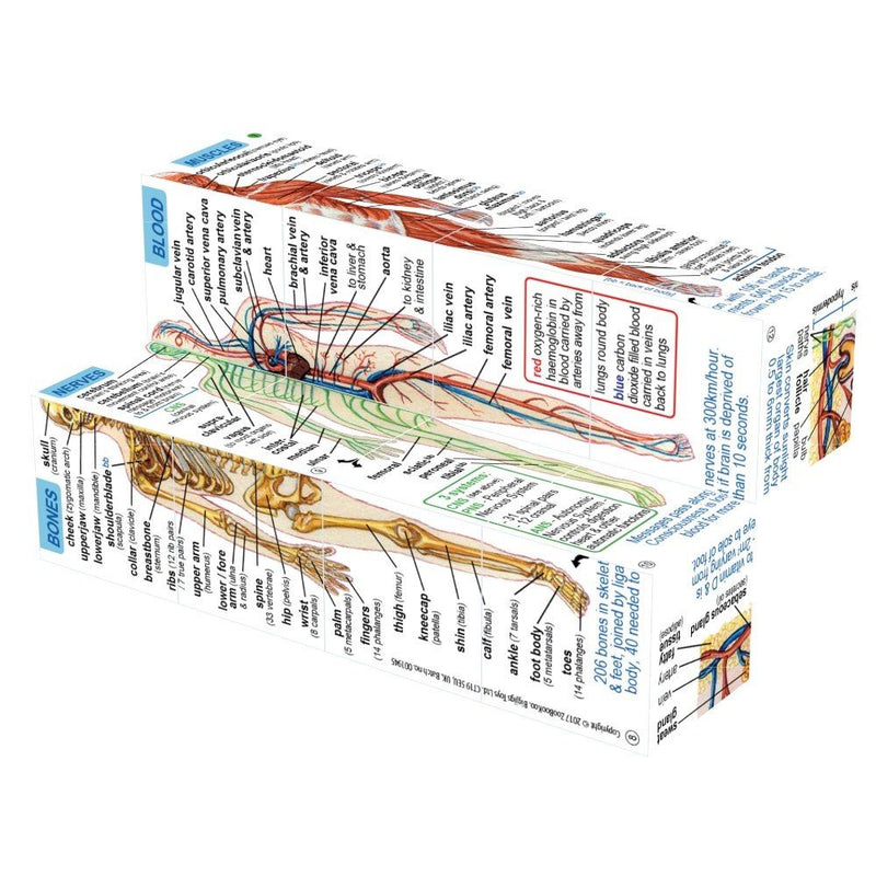 ZooBooKoo Human Body Anatomy Cube Book Early Science STEM Travel Toys Best Seller 7yrs+