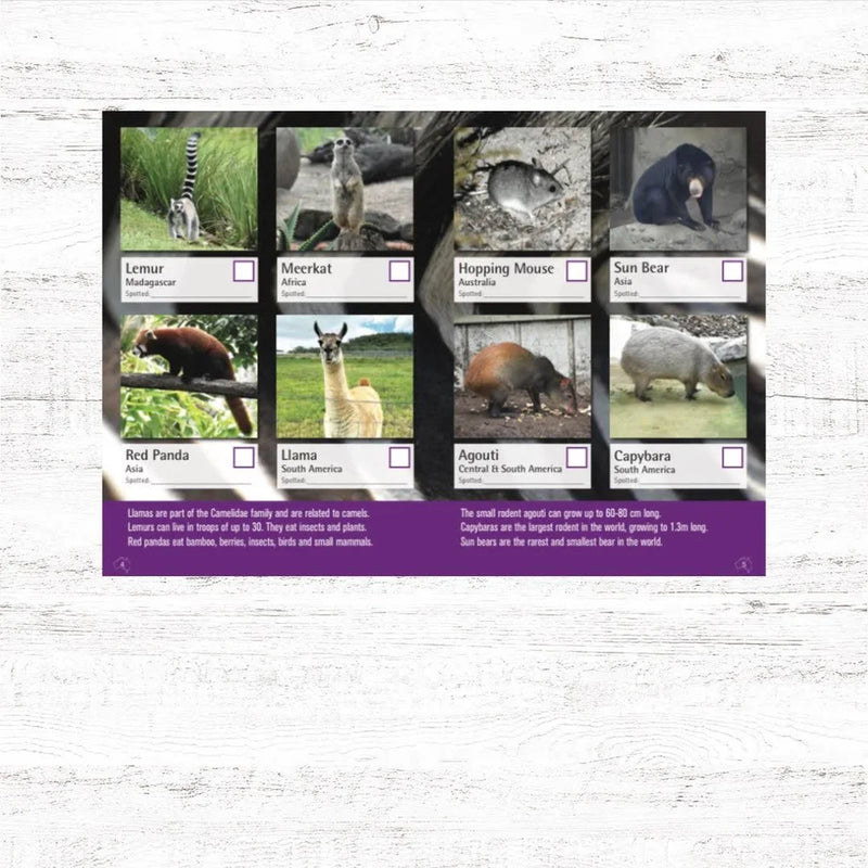 I Spy Zoo Edition Activity Book by Spotto Books (Paperback) Travel Toys 2yrs+