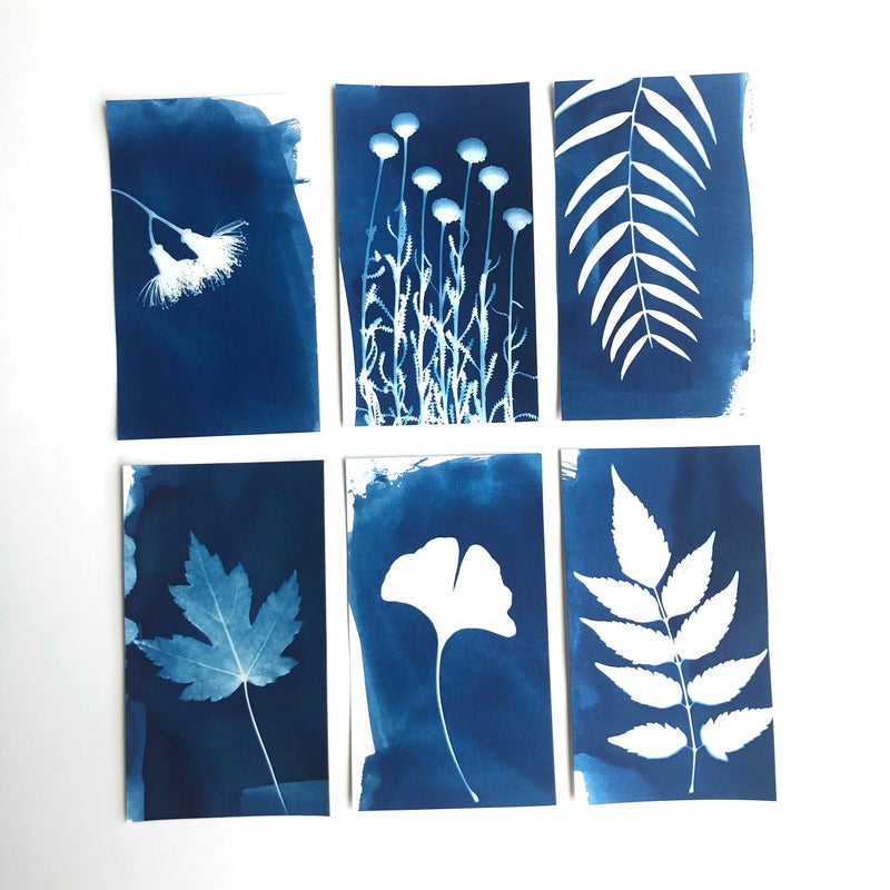 Sun Printing Paper Art and craft for kids Best Seller 4yrs+