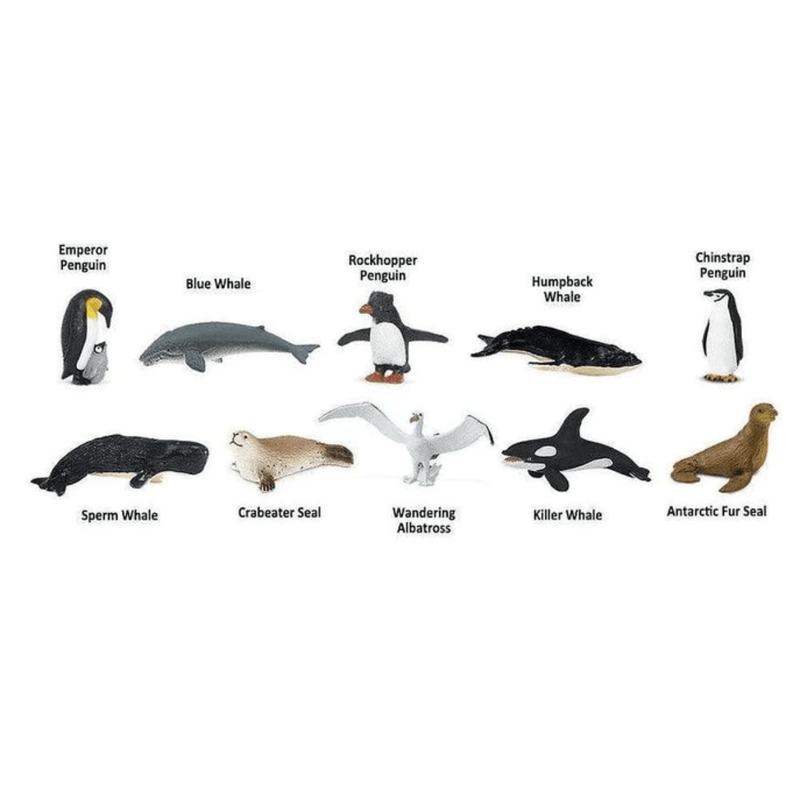 Antarctica Montessori Language Learning Figurines 3yrs+ - My Playroom 