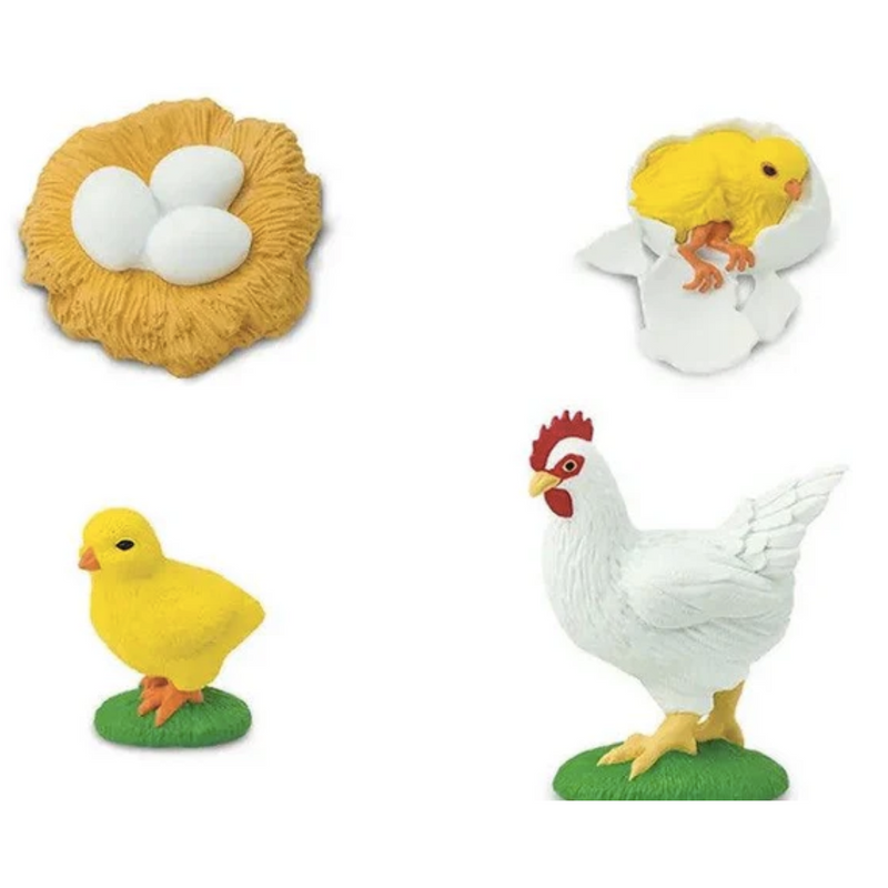 Life Cycle of a Chicken Montessori Farm Animal Figurines Language Figurines by Safari Ltd Early Science STEM Toys 4yrs+
