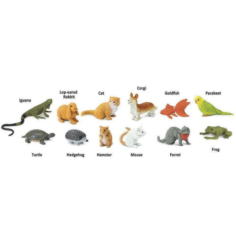 Tube of 12 Pets Animal Figurines Montessori Language Learning Figurines by Safari Ltd Toob Range 3yrs+
