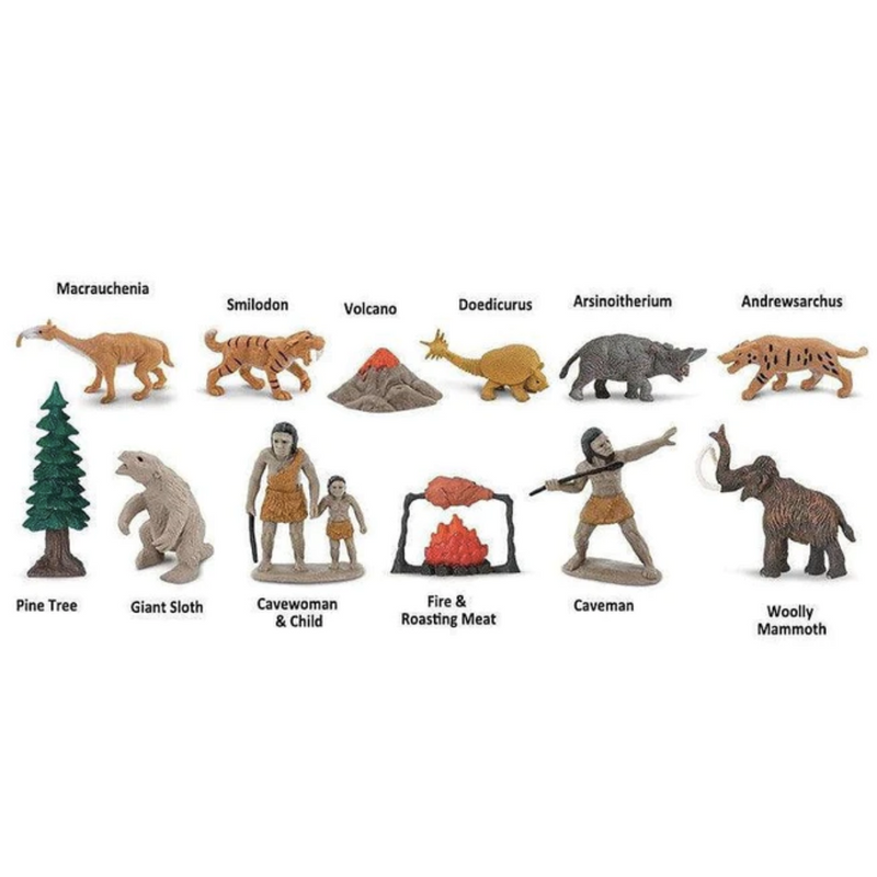 Tube of 12 Prehistoric Life Animal Figurines Montessori Language Learning Figurines by Safari Ltd Toob Range Dinosaur and Dragon Theme 3yrs+