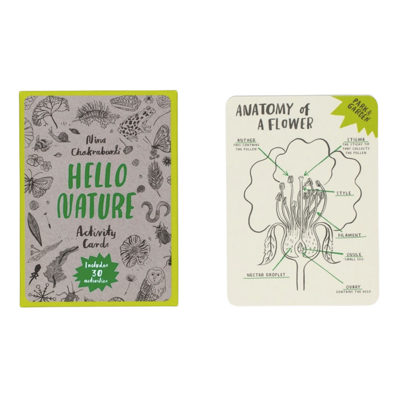 Hello Nature Activity Cards-Gifting Idea for 8yrs+