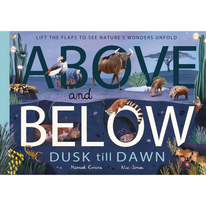 Above and Below: Dusk Till Dawn (Hardcover)