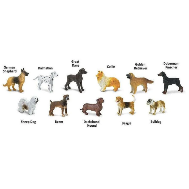 Tube of 11 Dogs Animal Figurines Montessori Language Learning Farm Animals Figurines by Safari Ltd Toob Range 3yrs+