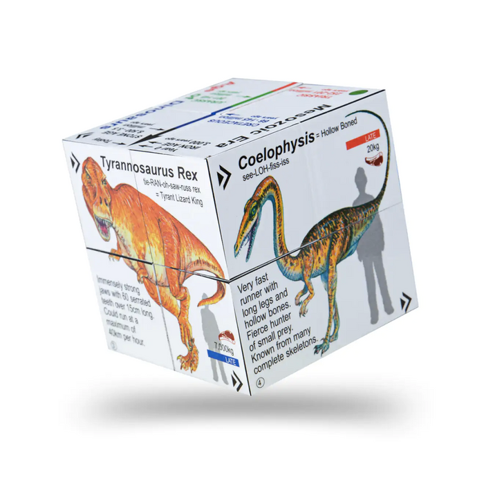 Dinosaurs Cube Book ZooBooKoo 5yrs+