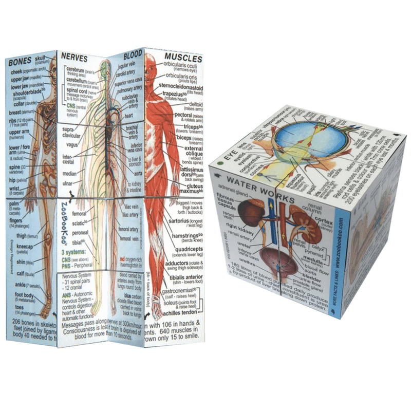ZooBooKoo Human Body Anatomy Cube Book Early Science STEM Travel Toys Best Seller 7yrs+