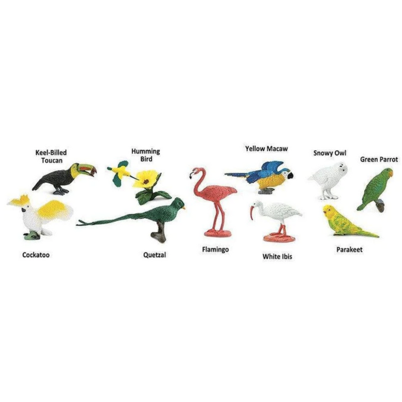Tube of 11 Exotic Birds Montessori Language Learning Figurines by Safari Ltd Toob Range Best Seller 3yrs+
