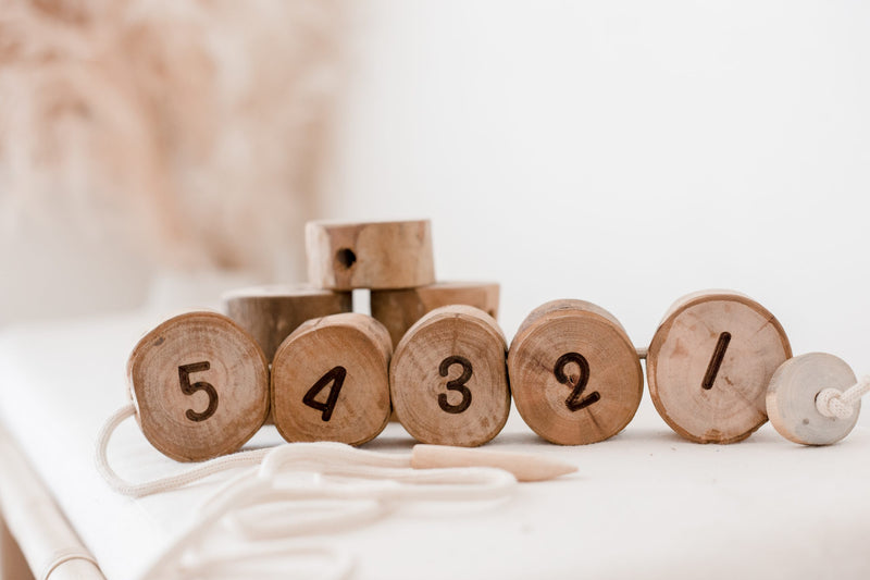 Qtoys Tree Number Lacing Set Early Math Games for Kids Cognitive STEM Toys 3yrs+