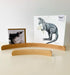 Small Curved Wooden Holder for Language Card, Artwork, Postcard 25cm - My Playroom 