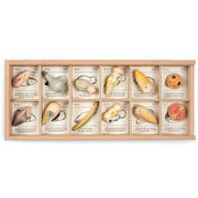 Grapat Wild with Sorting Tray 2022 New 3yrs+ - My Playroom 