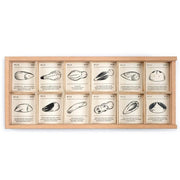 Grapat Wild with Sorting Tray 2022 New 3yrs+ - My Playroom 