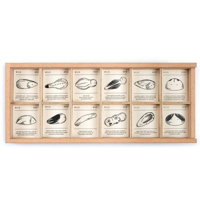 Grapat Wild with Sorting Tray 2022 New 3yrs+ - My Playroom 