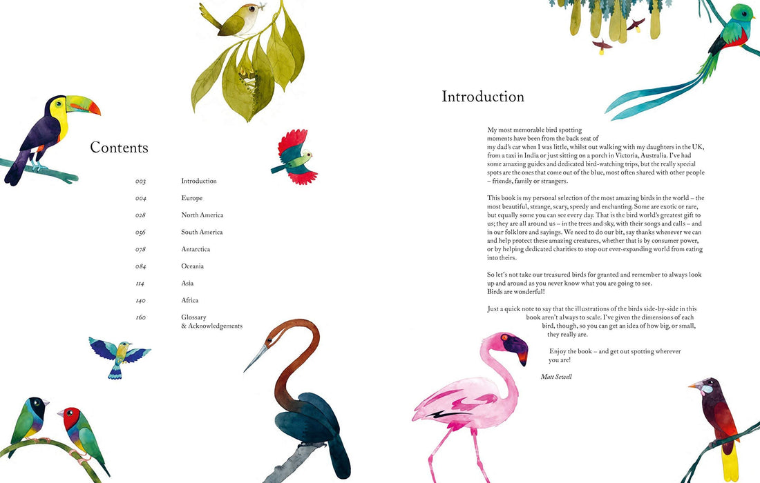 Atlas of Amazing Birds Book (Hardcover) - My Playroom 