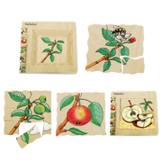 Beleduc Life Cycle Wooden Numbered Multilayer Puzzle - Apple 4yrs+ - My Playroom 