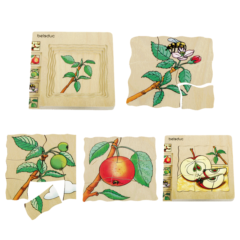 Beleduc Life Cycle Wooden Numbered Multilayer Puzzle - Apple 4yrs+ - My Playroom 